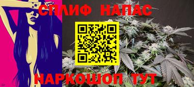 крисы Ирбит