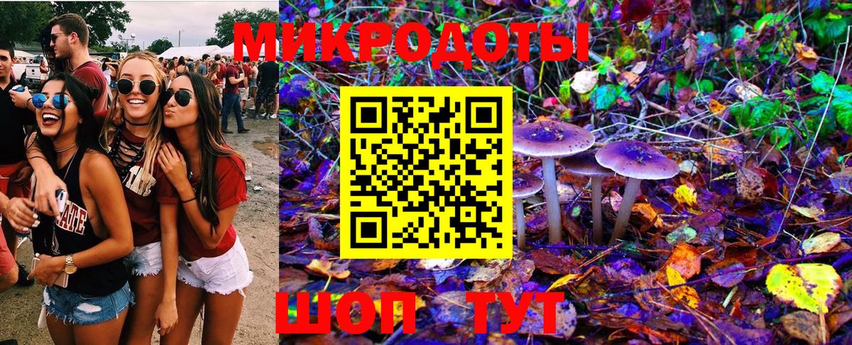 Галлюциногенные грибы ЛСД Камень-на-Оби