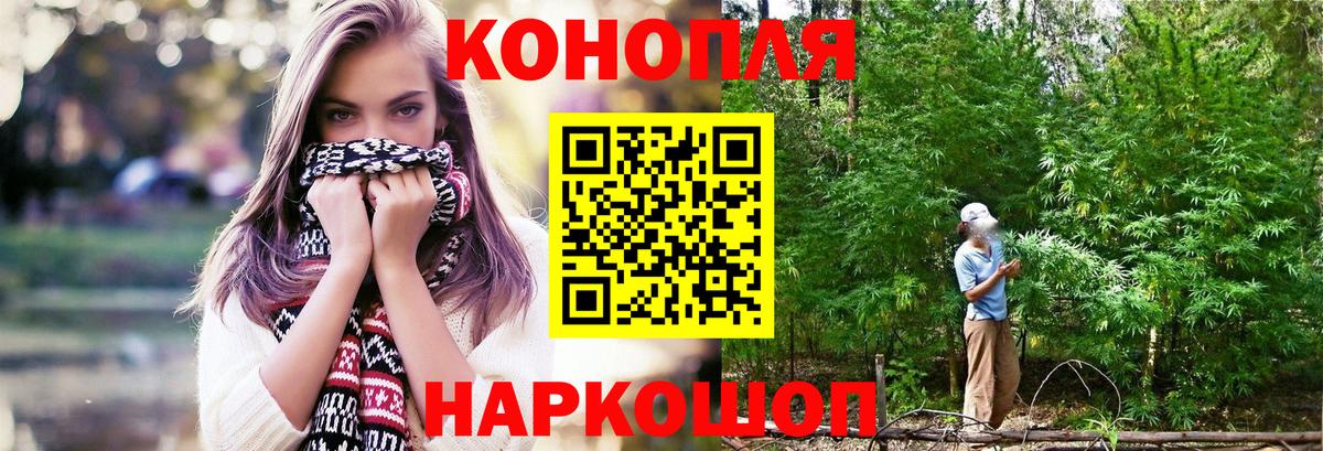 Бошки марихуана конопля Камень-на-Оби
